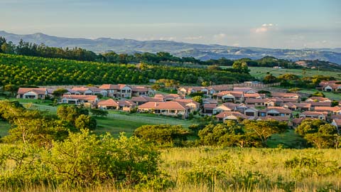 Bateleur Estate - Gerhard Jooste Architects